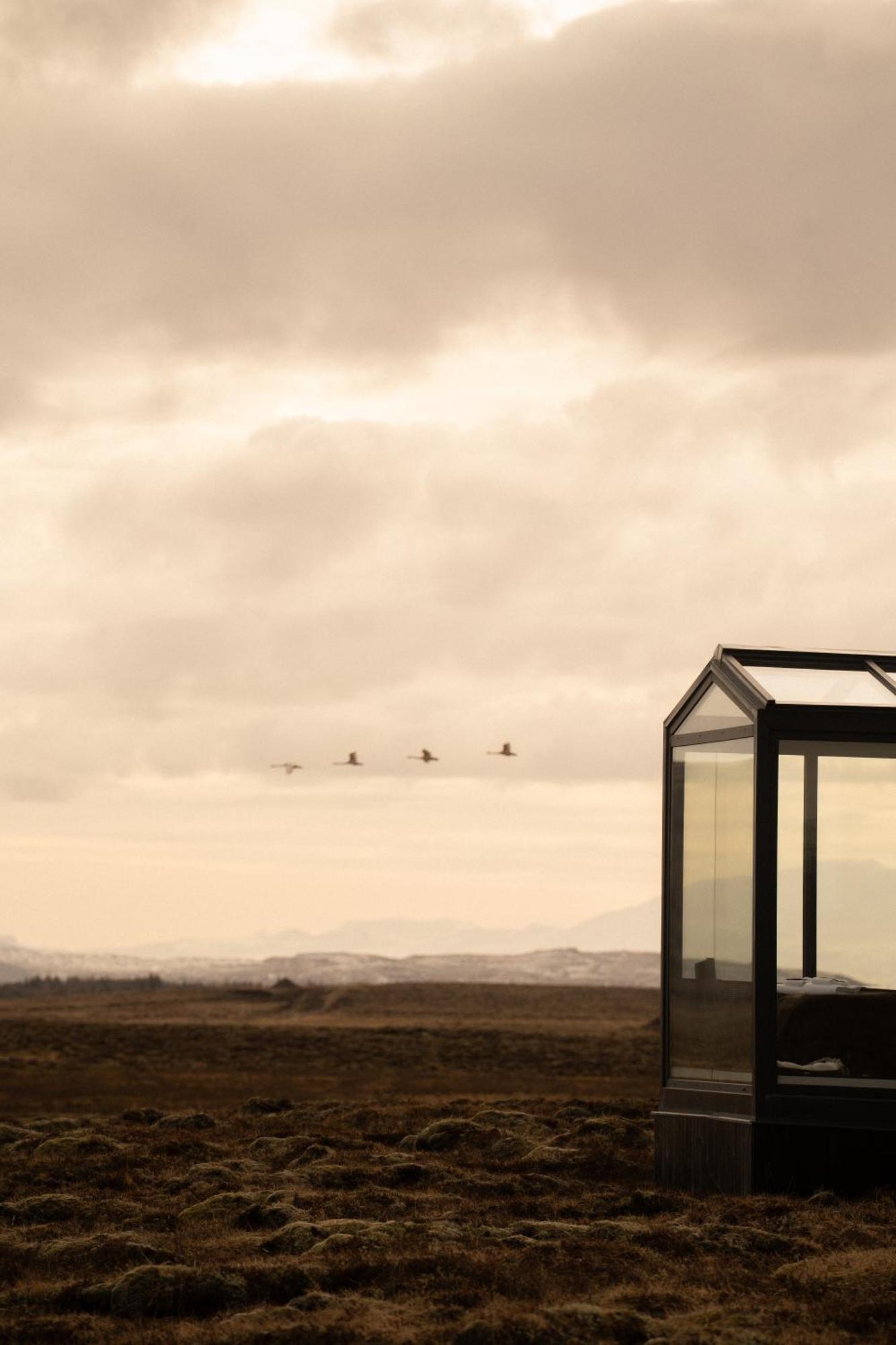 Skáli Tiny Glass Experience The Nature Selfoss